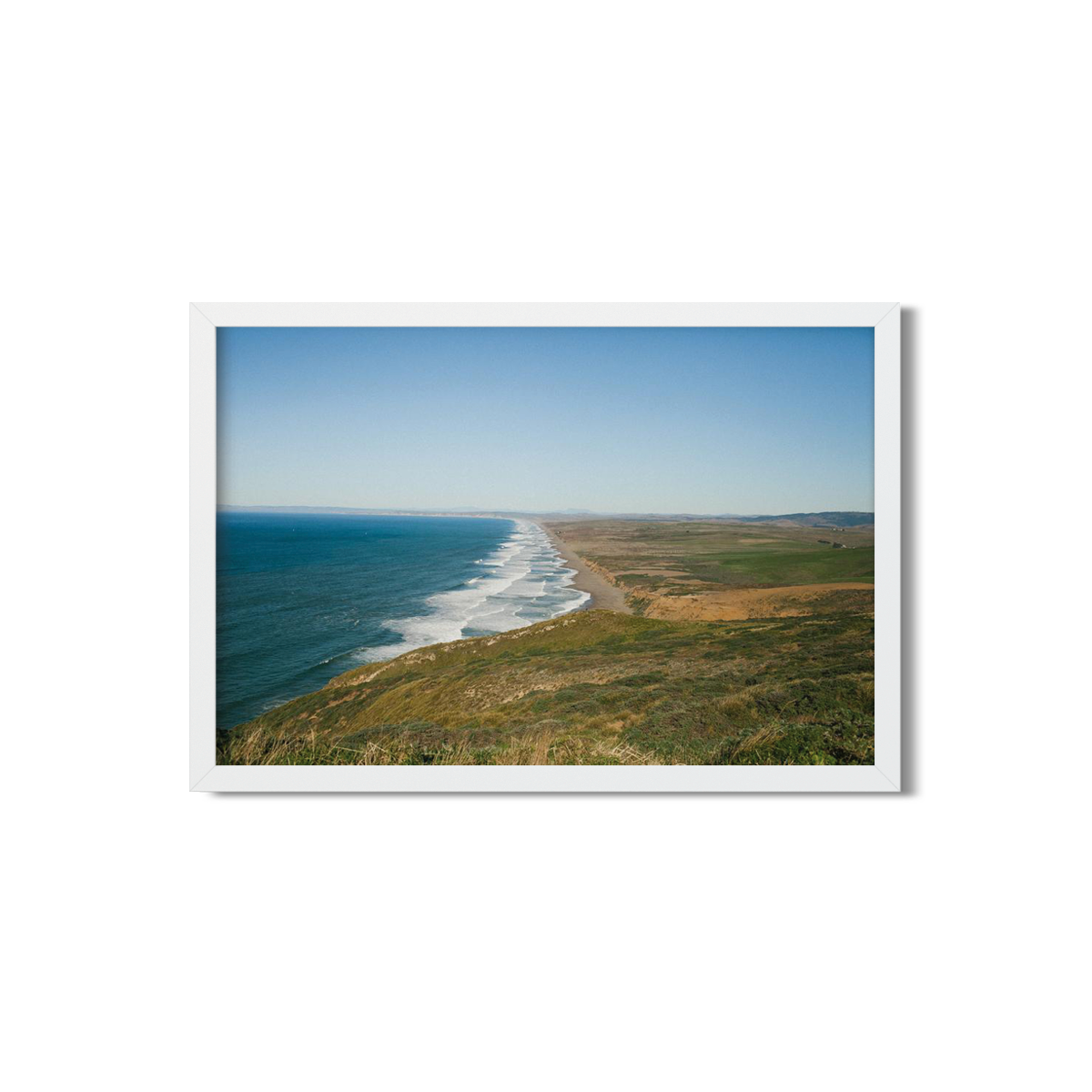 POINT REYES