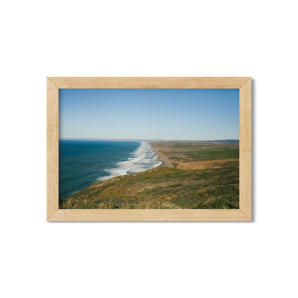 POINT REYES