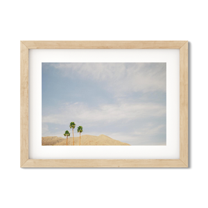 Open image in slideshow, THREE PALMS NO. 2
