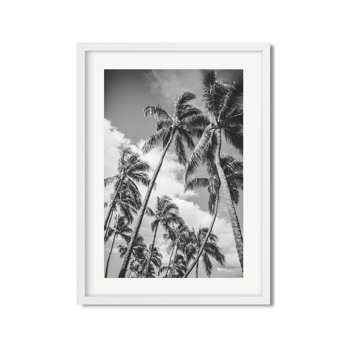 HAWAIIAN PALM TREES NO. 21