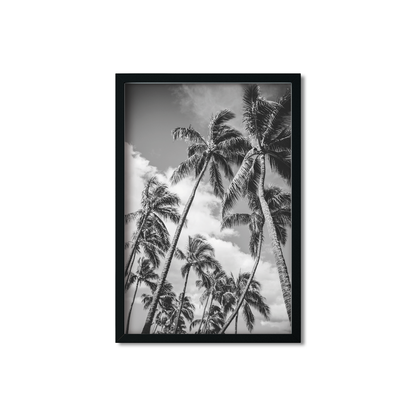 HAWAIIAN PALM TREES NO. 21