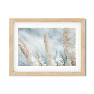 Open image in slideshow, PAMPAS NO. 2
